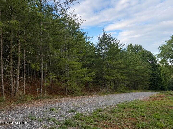 Lot 12 County Road 754 Riceville TN 37370