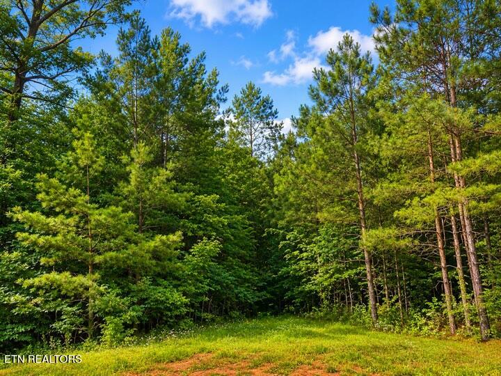 Lot 12 County Road 754 Riceville TN 37370