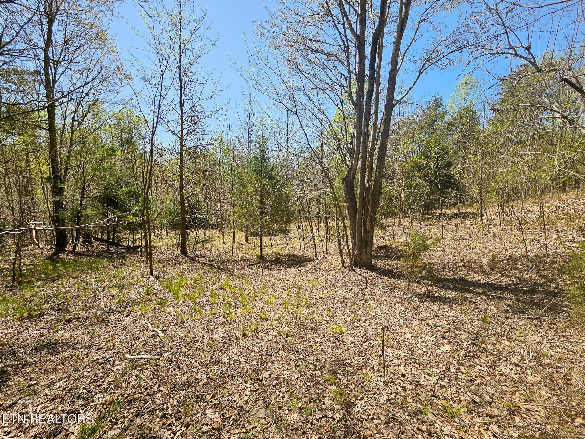 170 Bluff View Road New Tazewell TN 37825