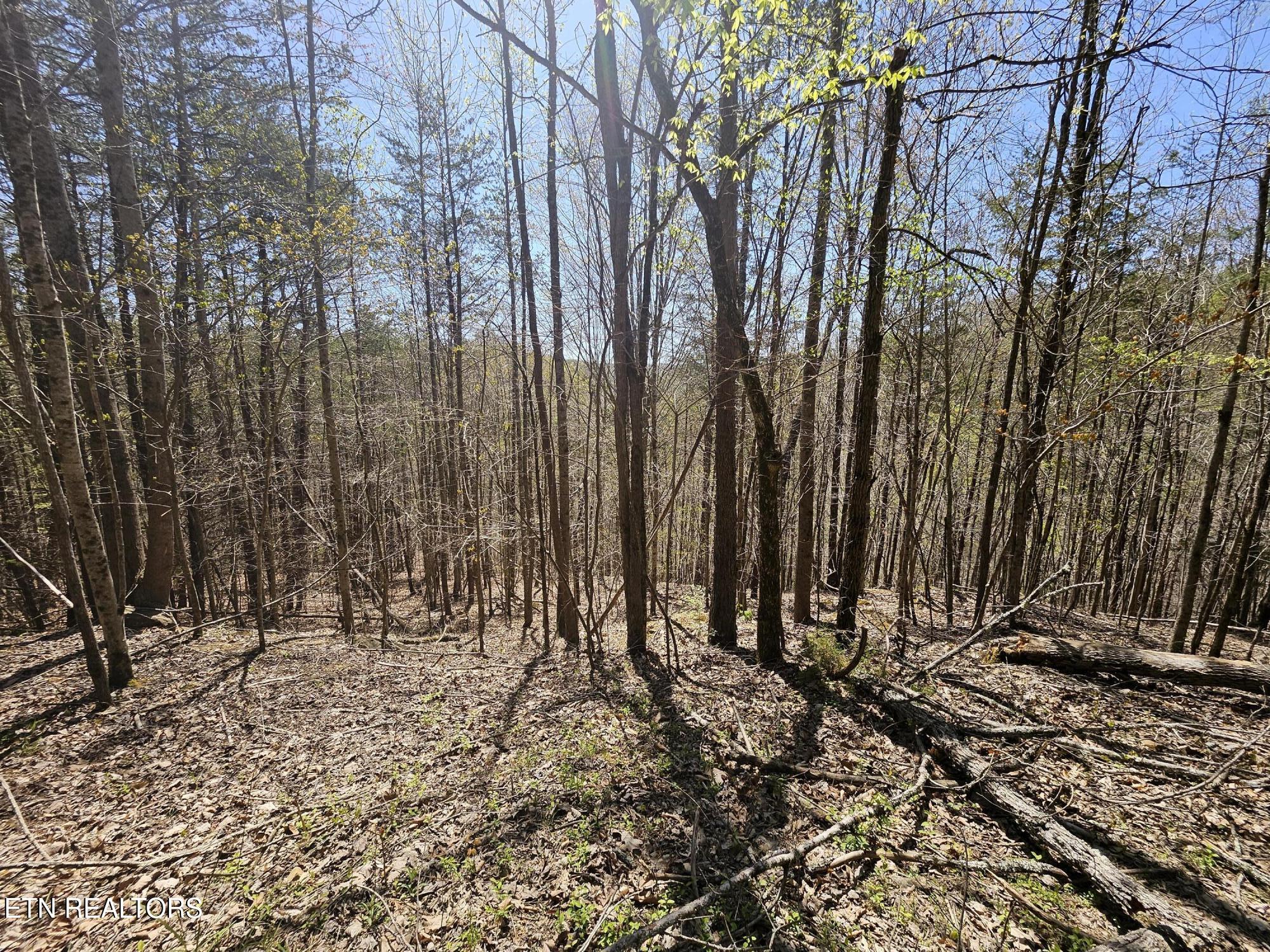 170 Bluff View Road New Tazewell TN 37825