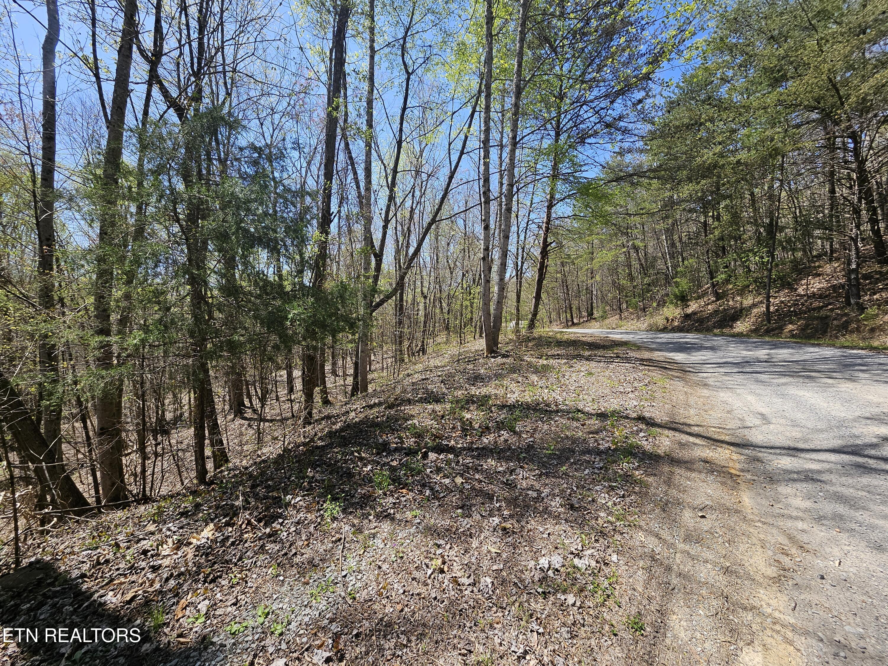 170 Bluff View Road New Tazewell TN 37825