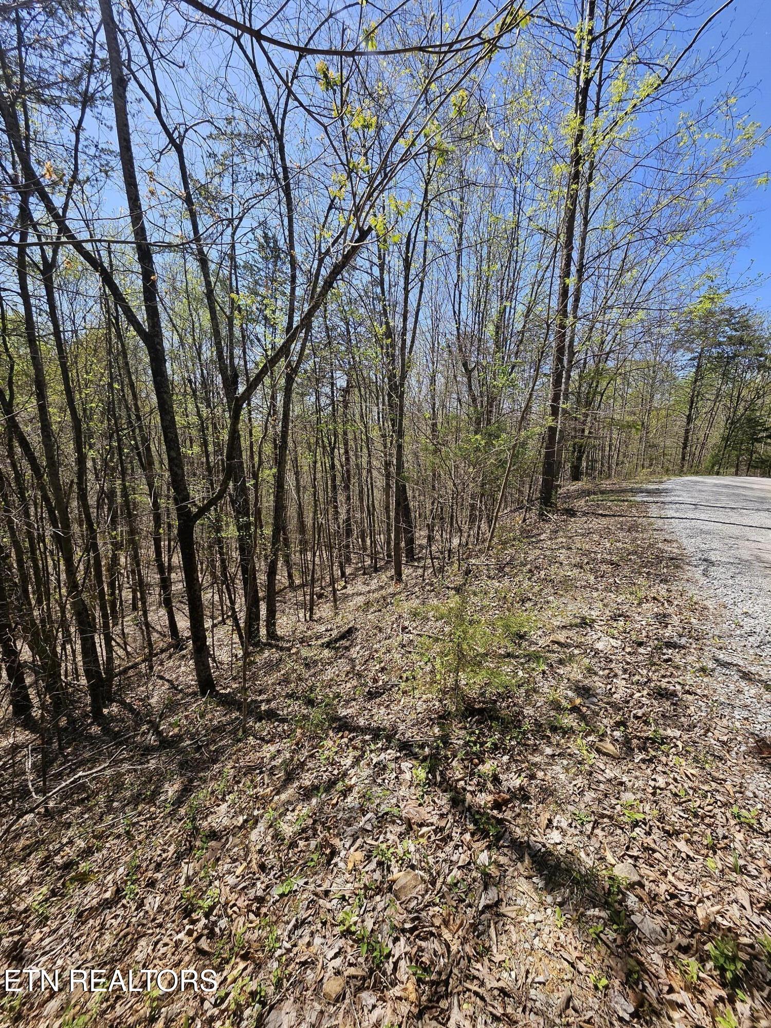 170 Bluff View Road New Tazewell TN 37825