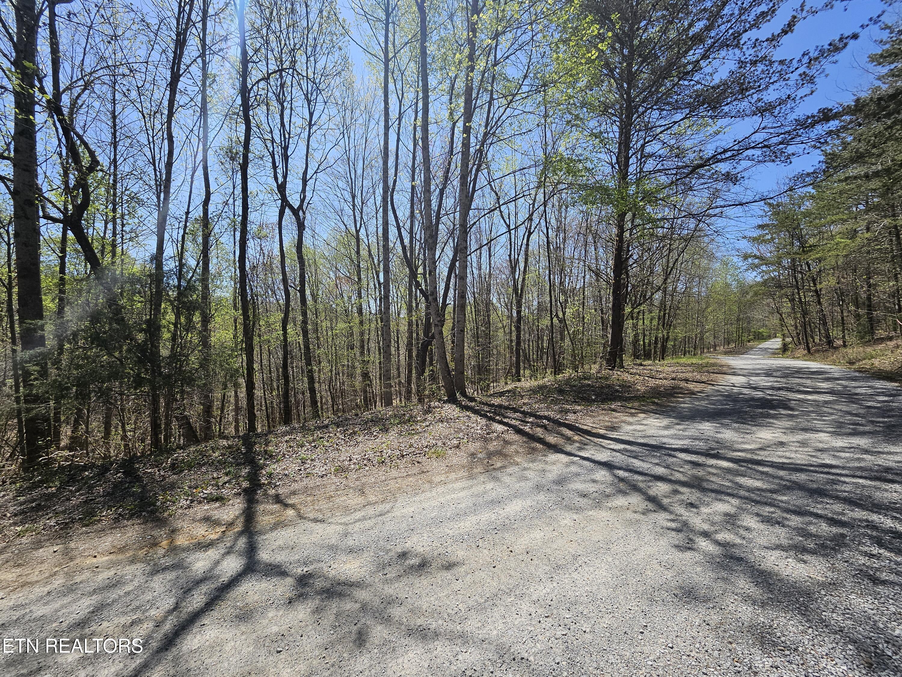 170 Bluff View Road New Tazewell TN 37825