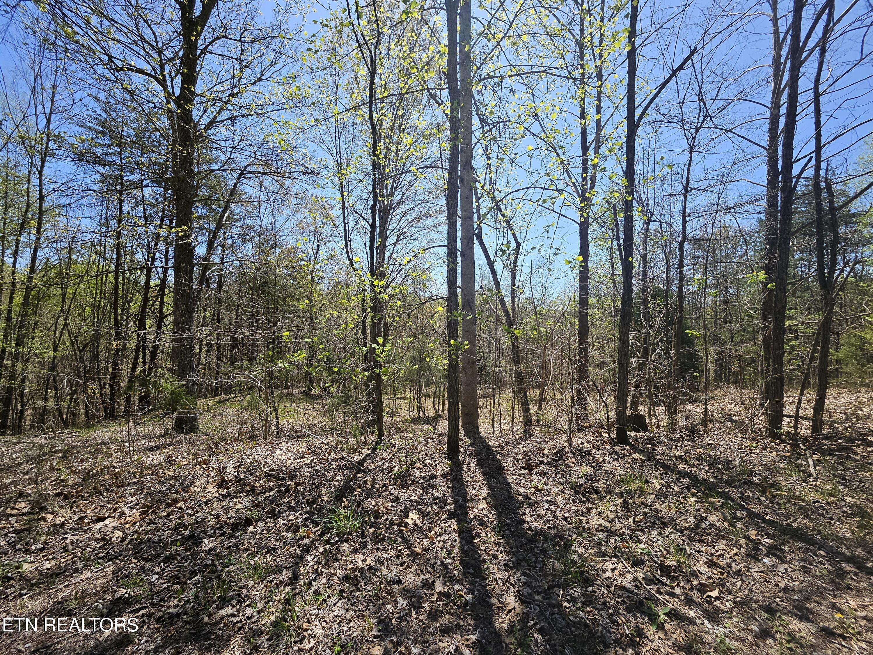 170 Bluff View Road New Tazewell TN 37825