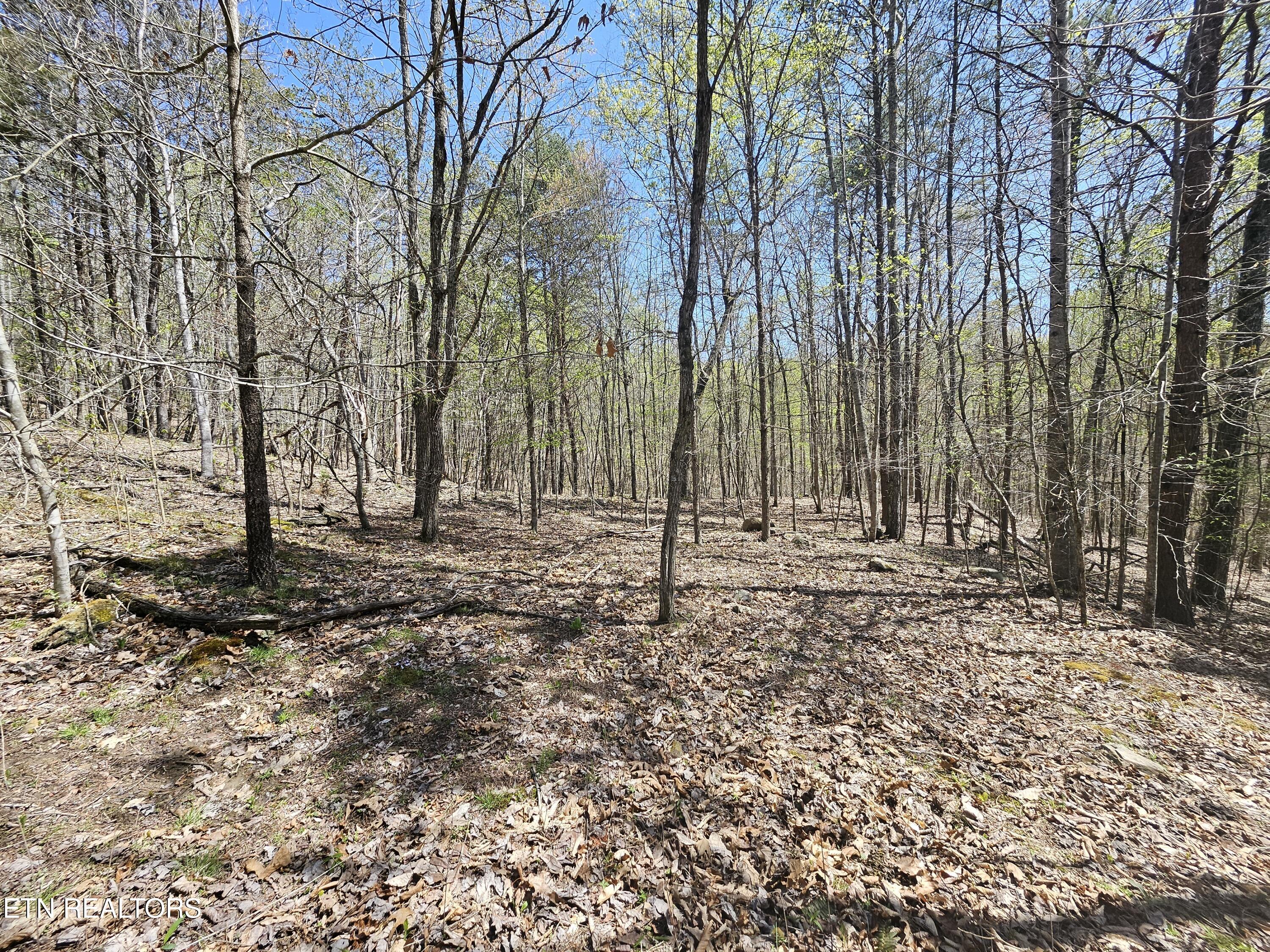 170 Bluff View Road New Tazewell TN 37825