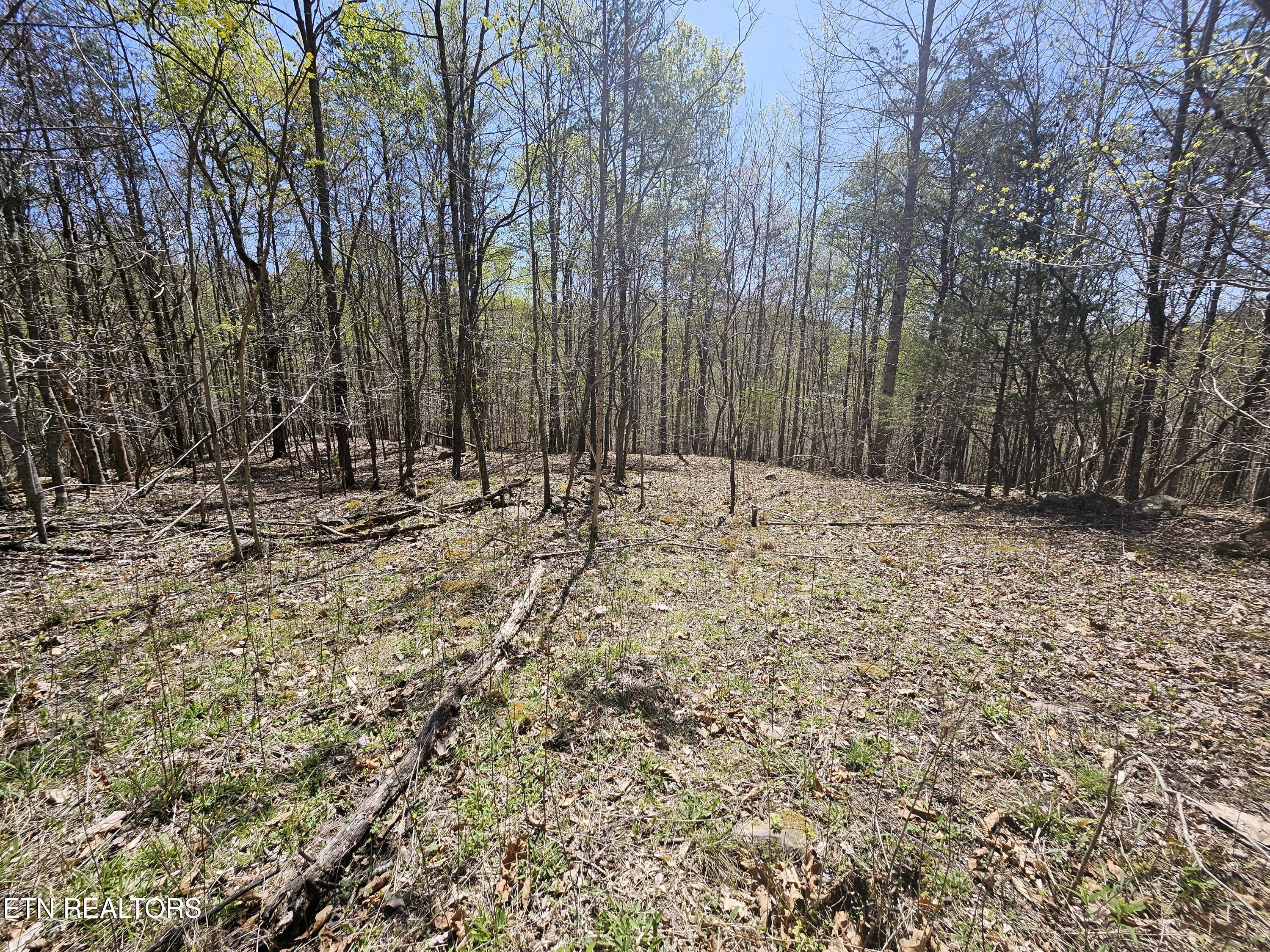 170 Bluff View Road New Tazewell TN 37825