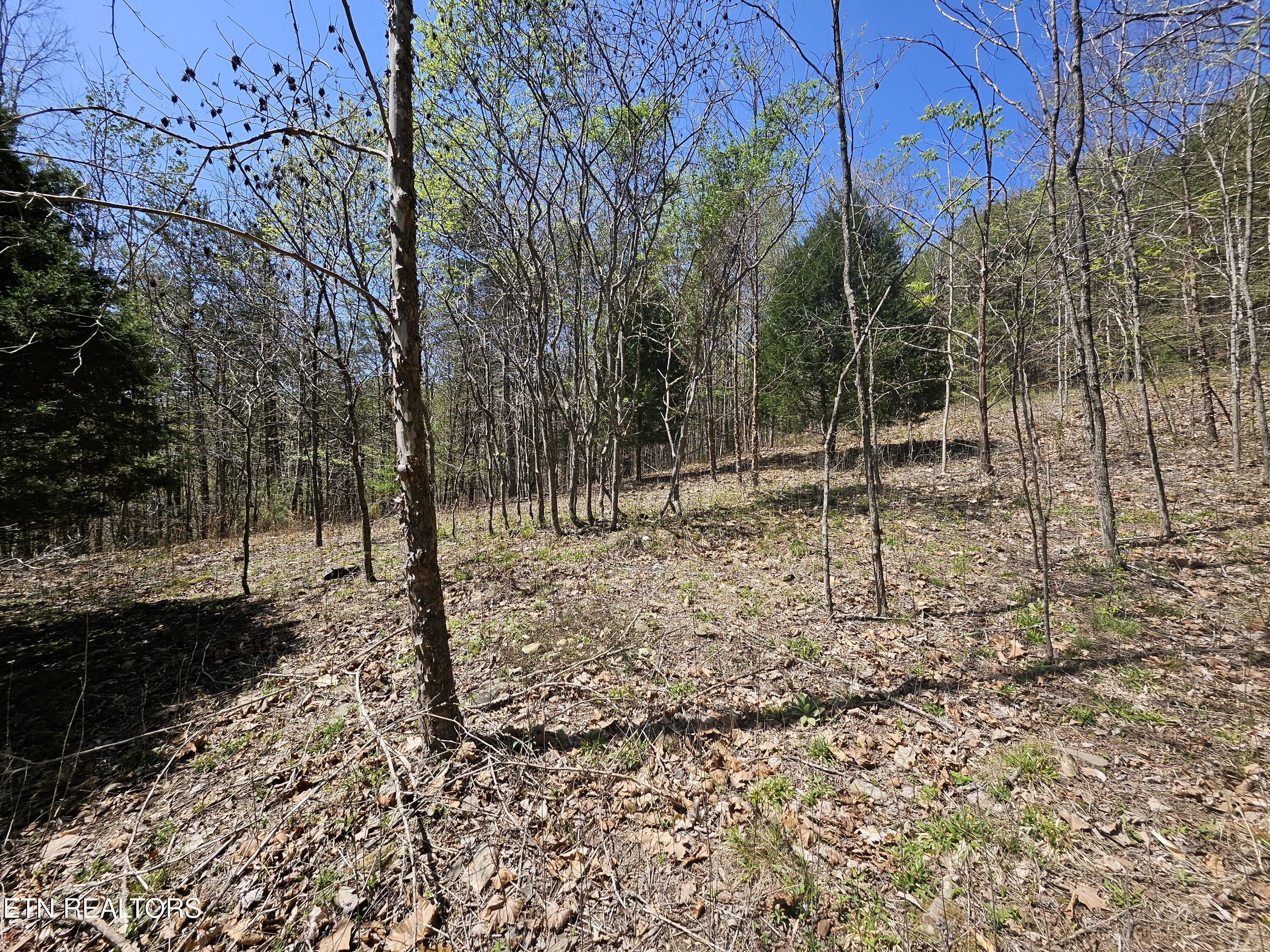 170 Bluff View Road New Tazewell TN 37825