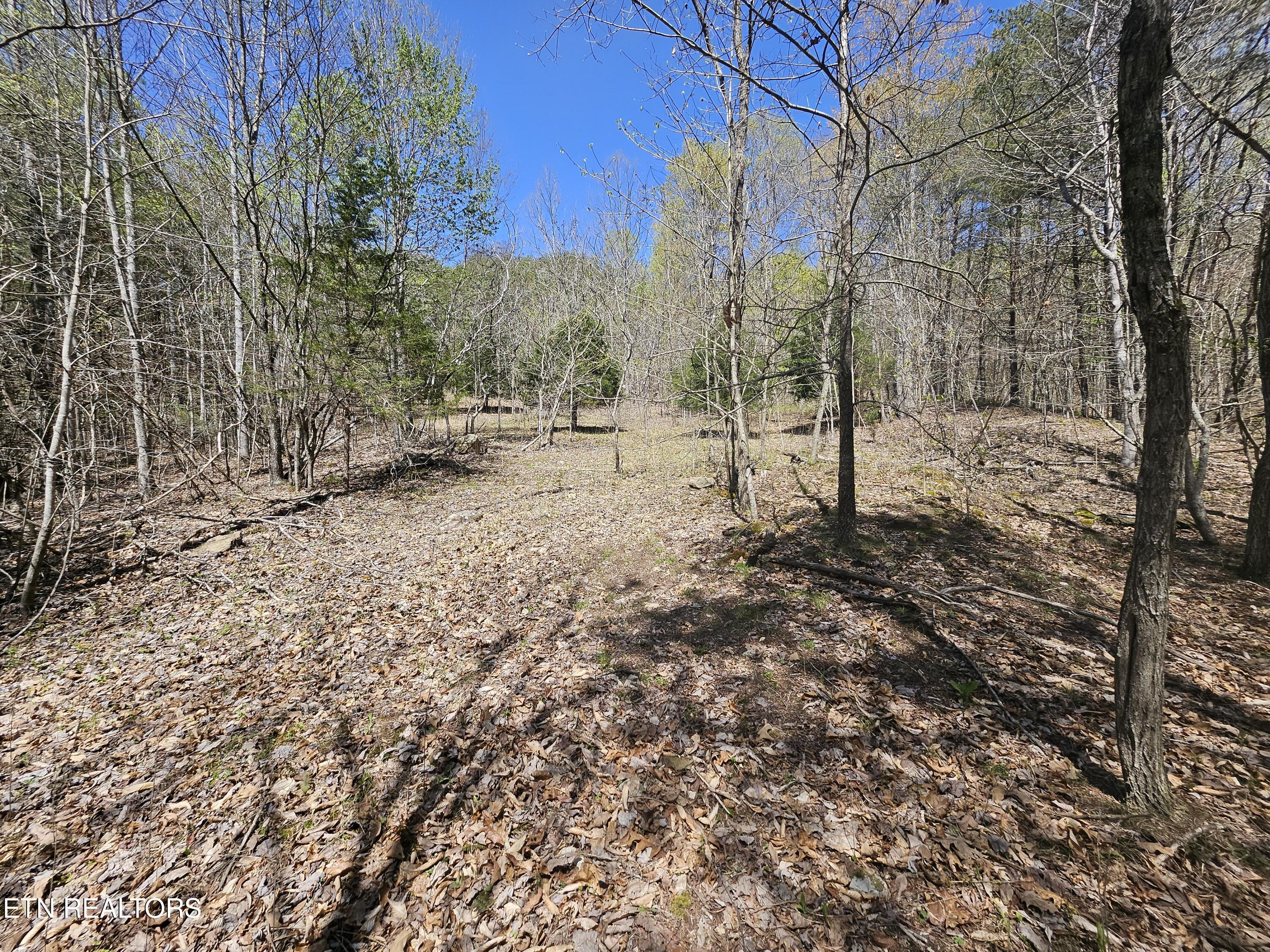 170 Bluff View Road New Tazewell TN 37825