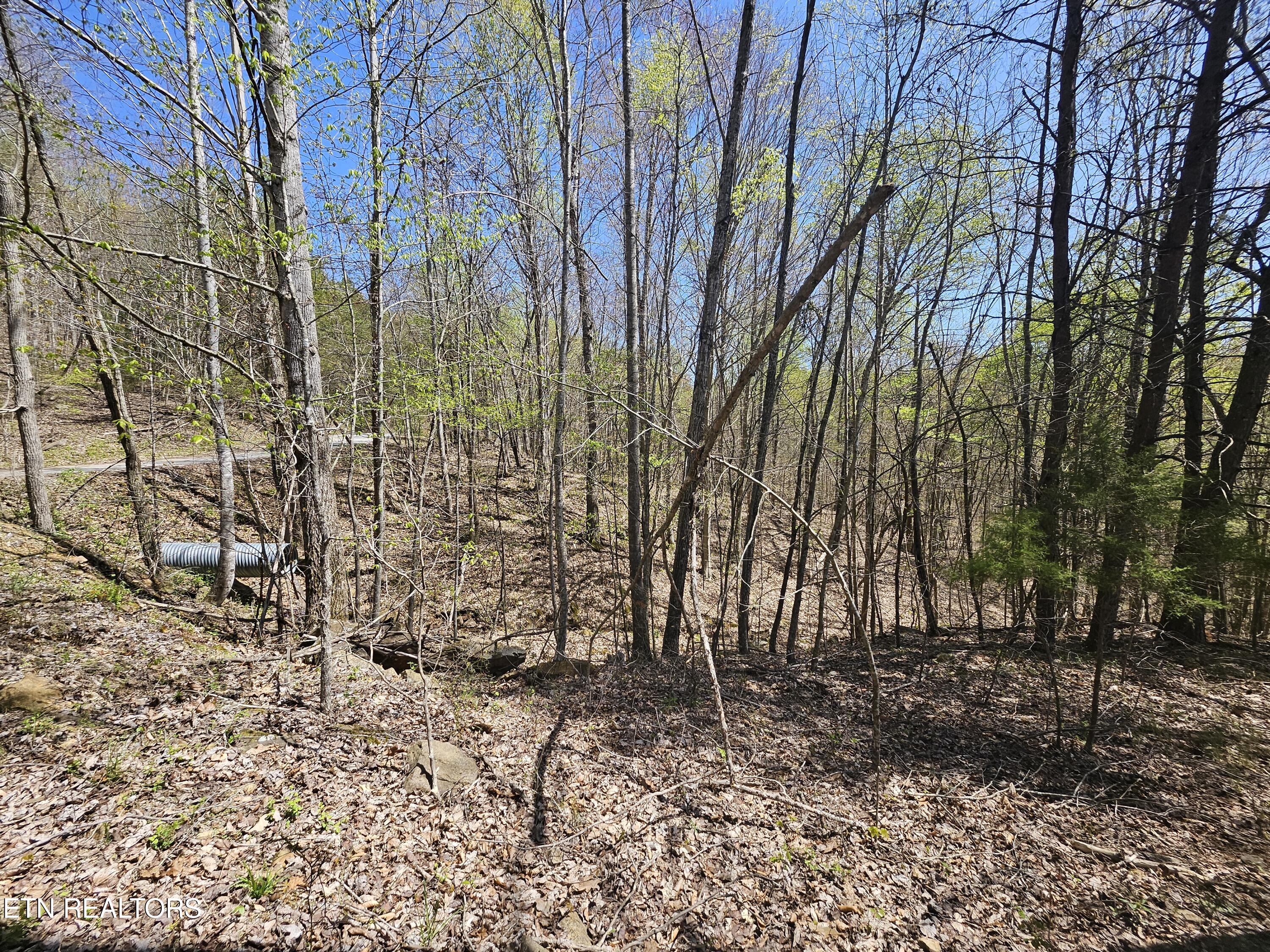 170 Bluff View Road New Tazewell TN 37825