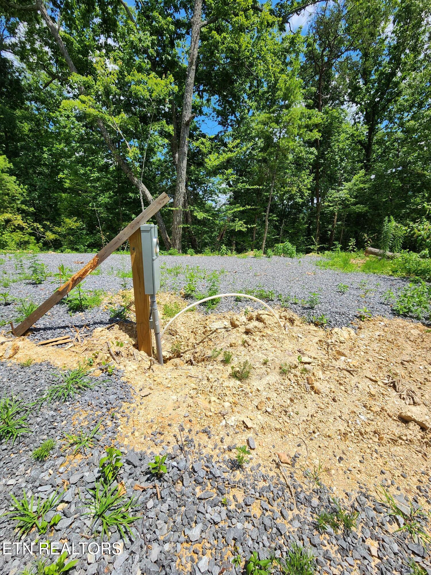 000 Tiger Lilly Drive Cosby TN 37722