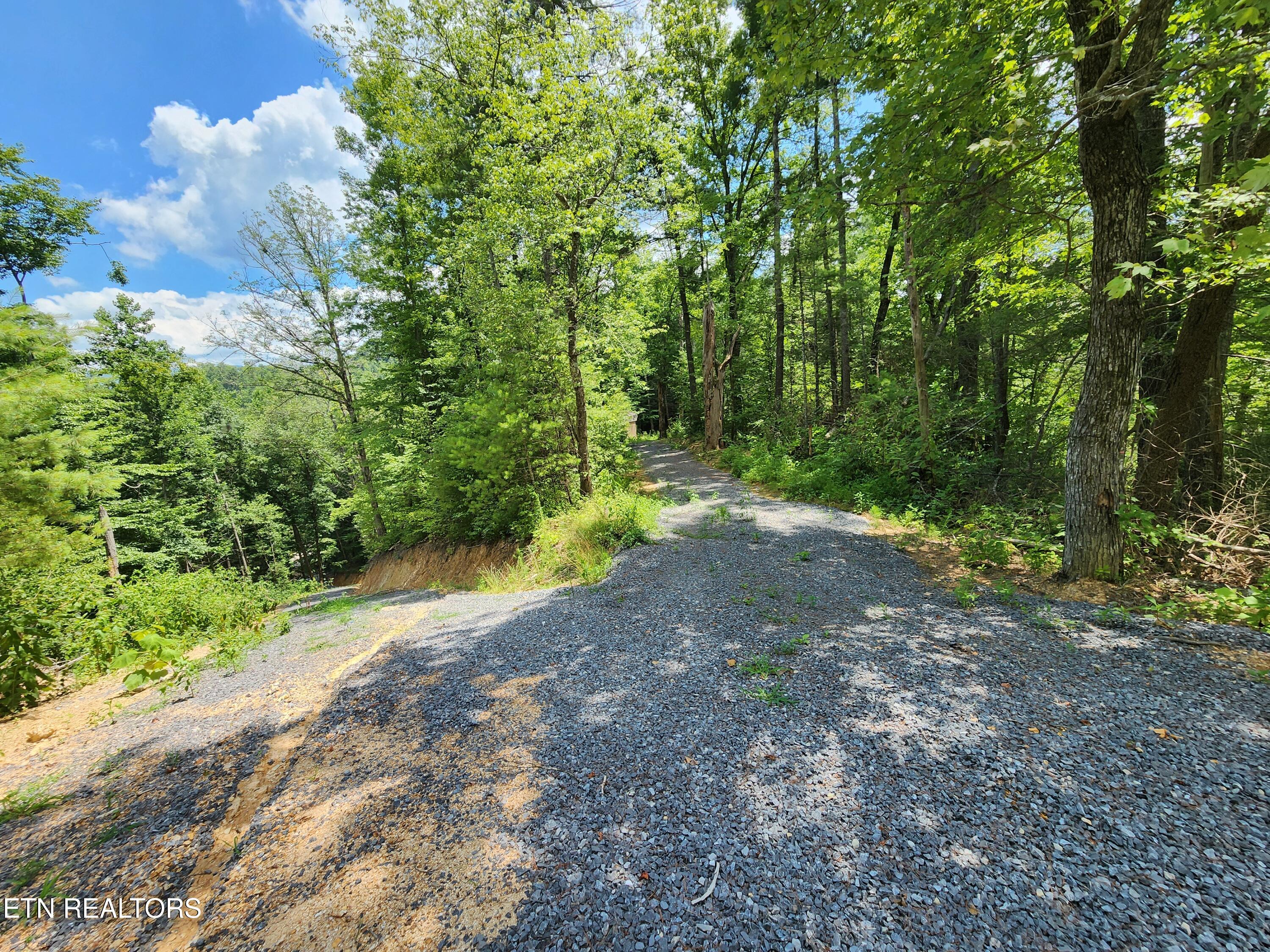 000 Tiger Lilly Drive Cosby TN 37722
