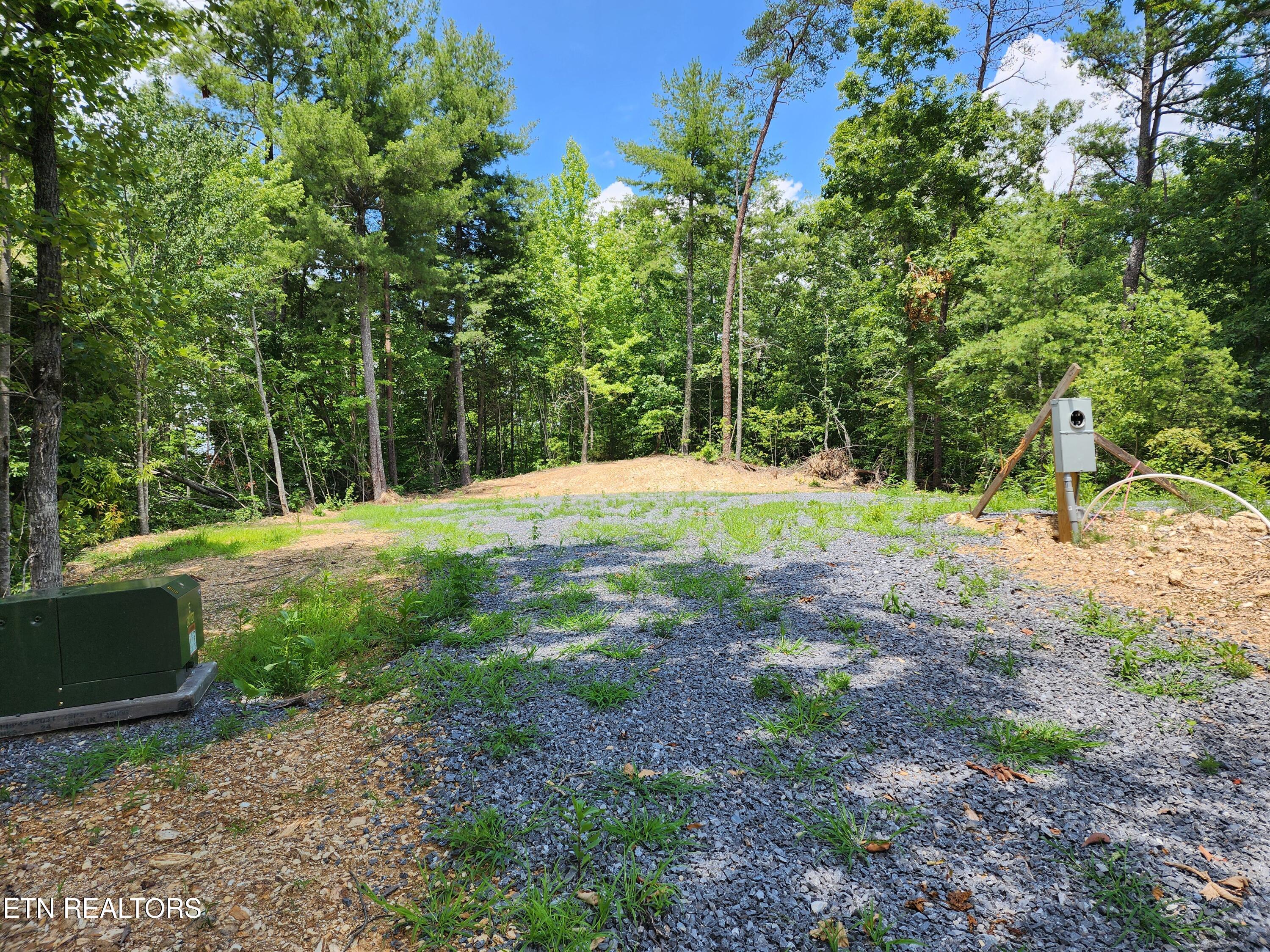 000 Tiger Lilly Drive Cosby TN 37722