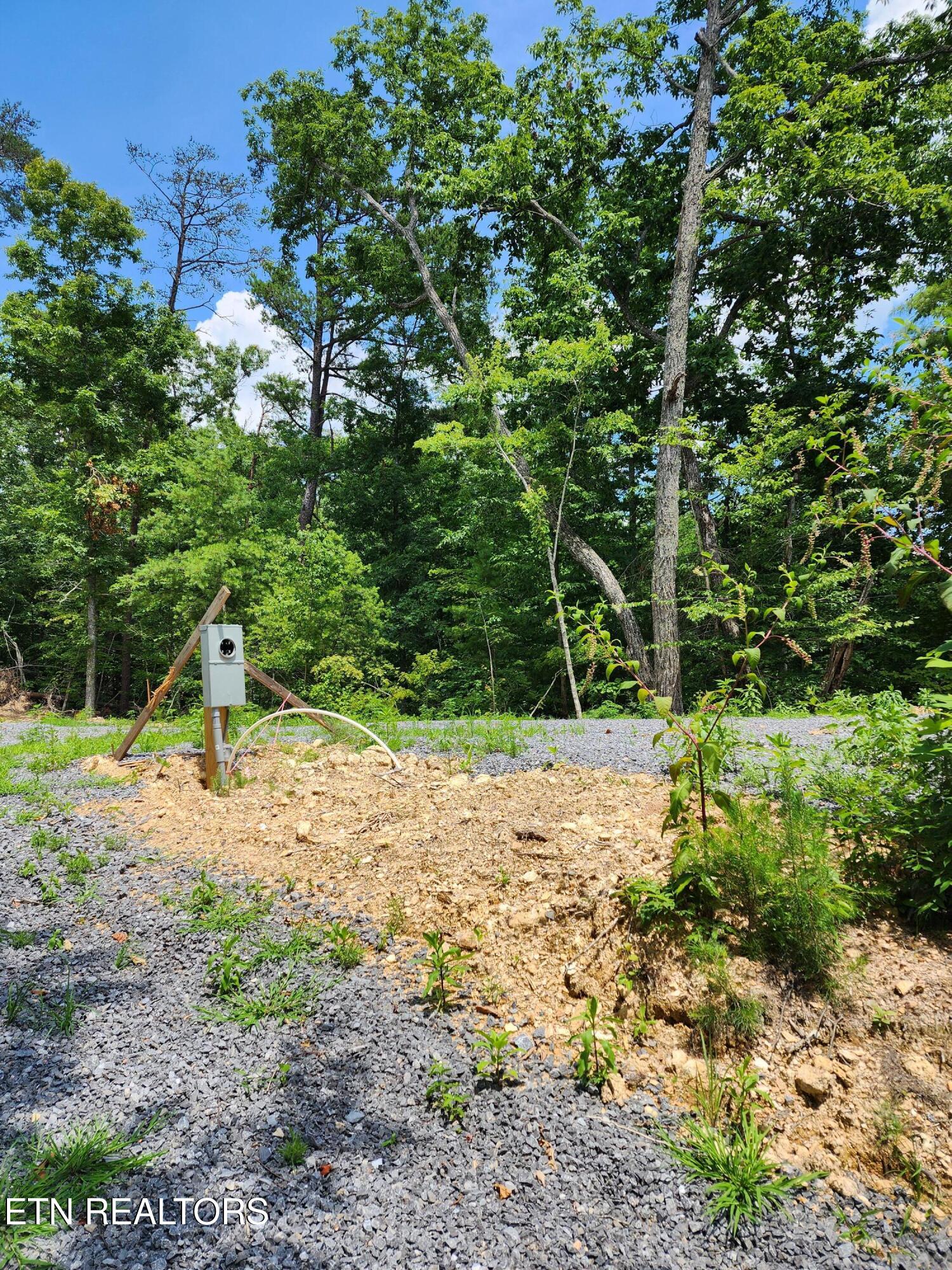 000 Tiger Lilly Drive Cosby TN 37722