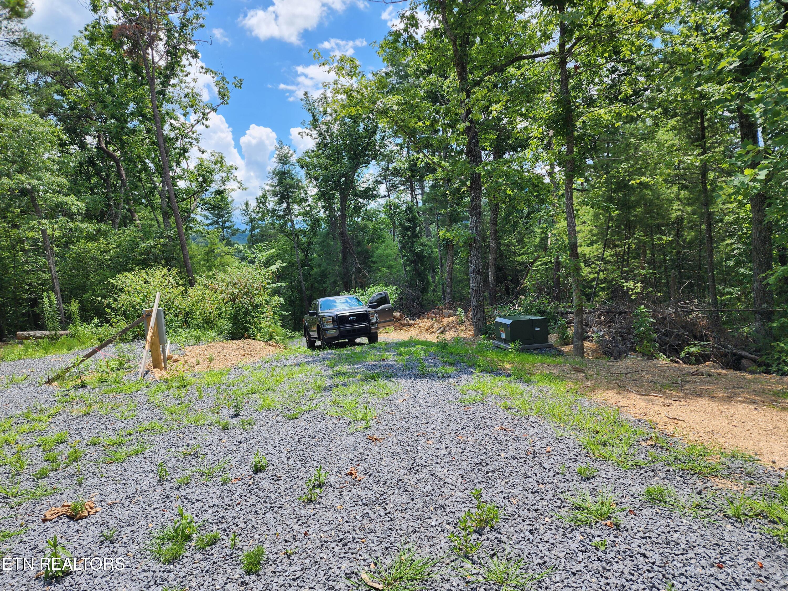 000 Tiger Lilly Drive Cosby TN 37722