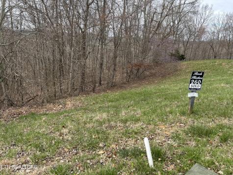 Lot 260-A Marble Point Way New Tazewell TN 37825