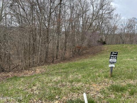 Lot 260-A Marble Point Way New Tazewell TN 37825