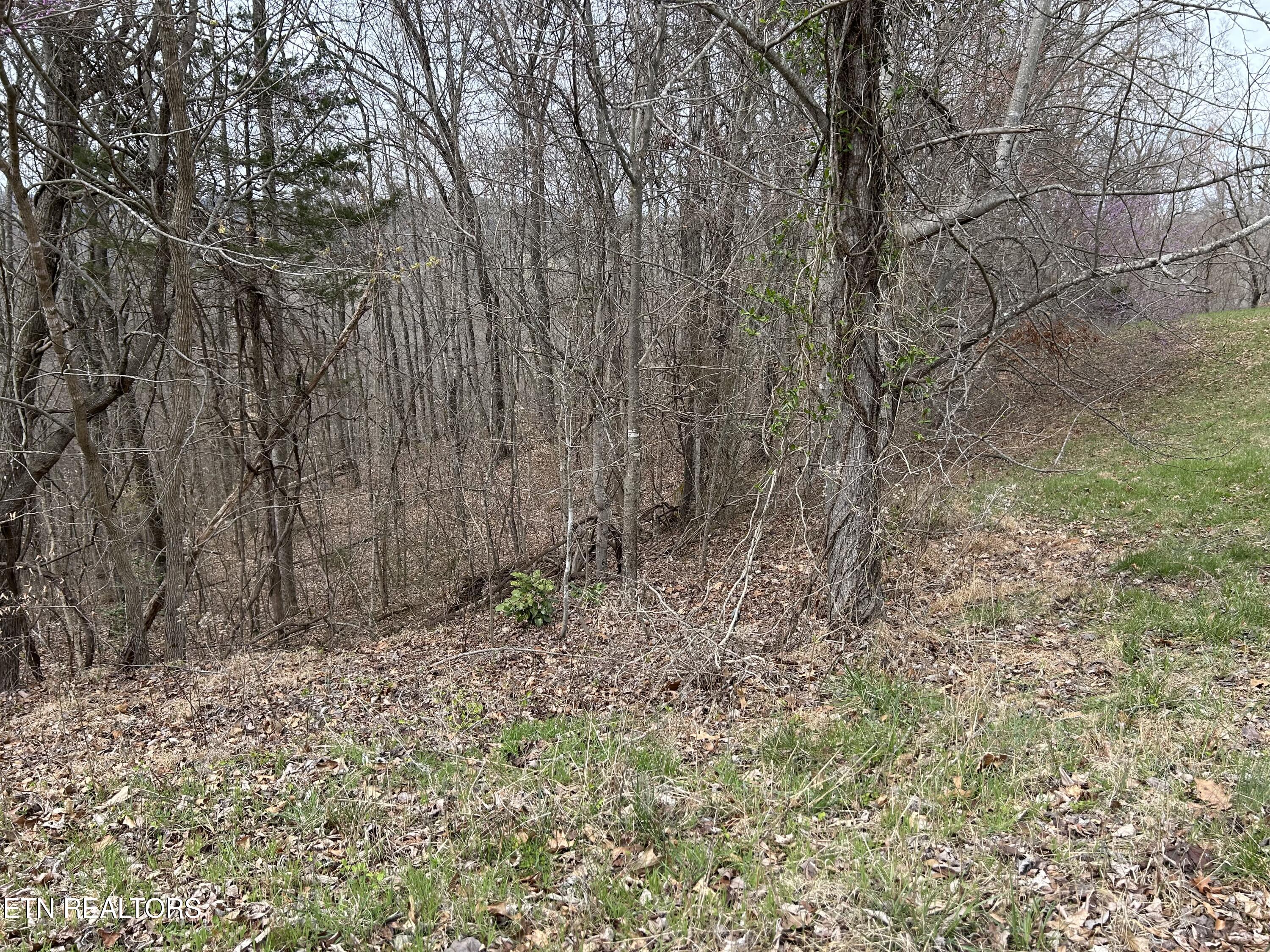Lot 260-a Marble Point Way New Tazewell TN 37825