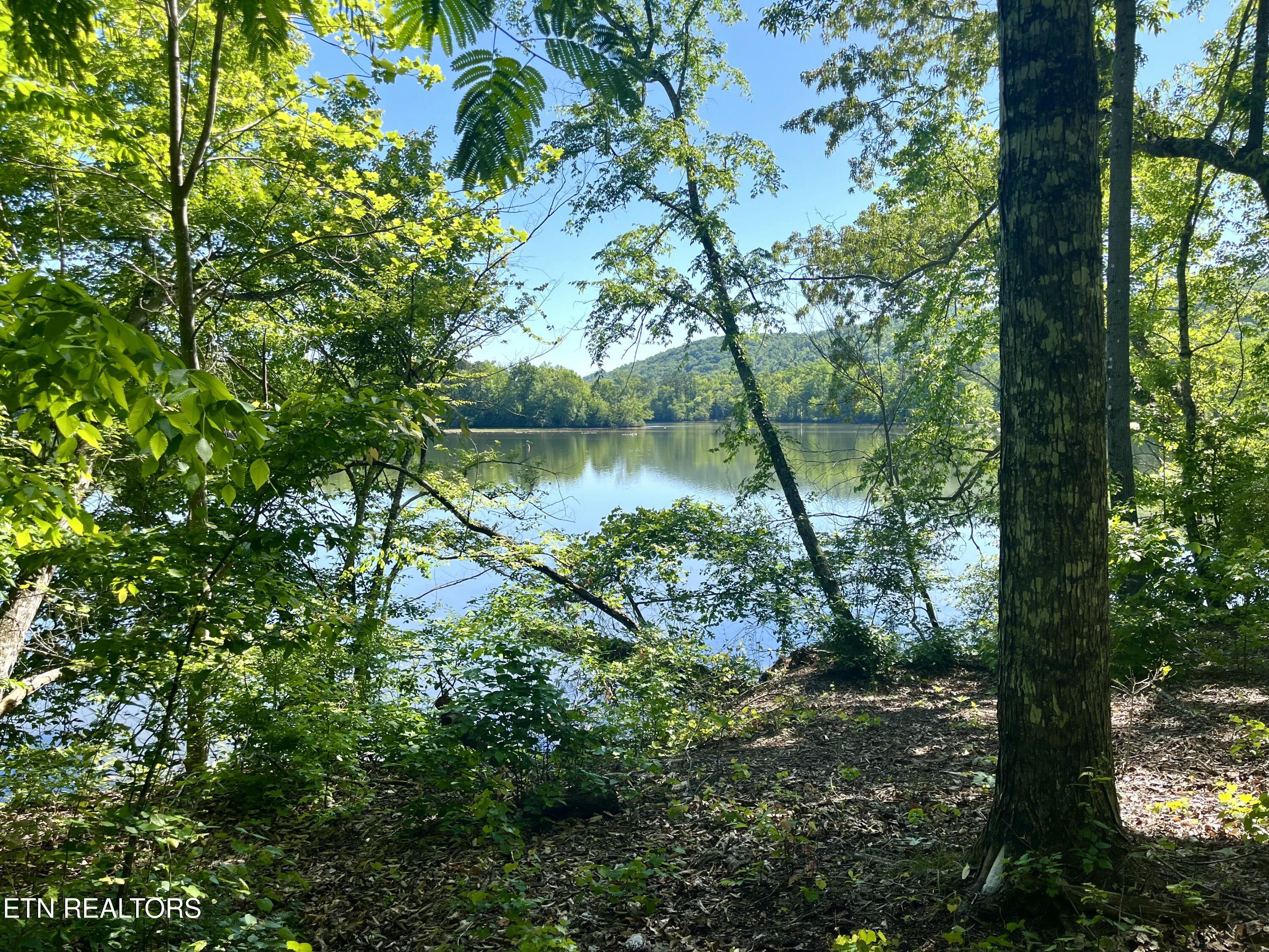 117 Osprey Way Harriman TN 37748