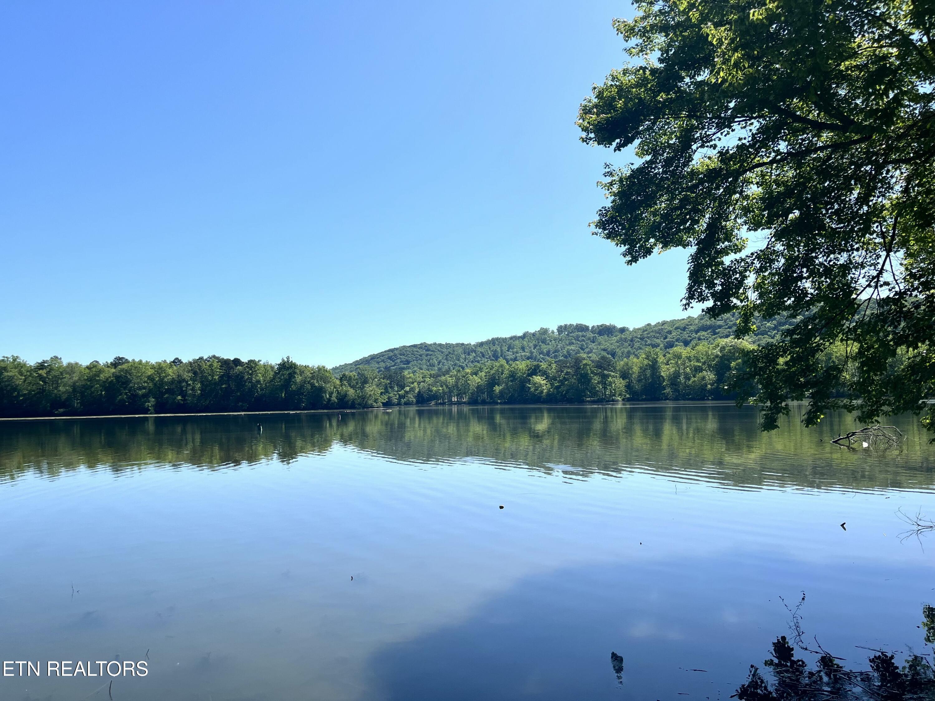 117 Osprey Way Harriman TN 37748