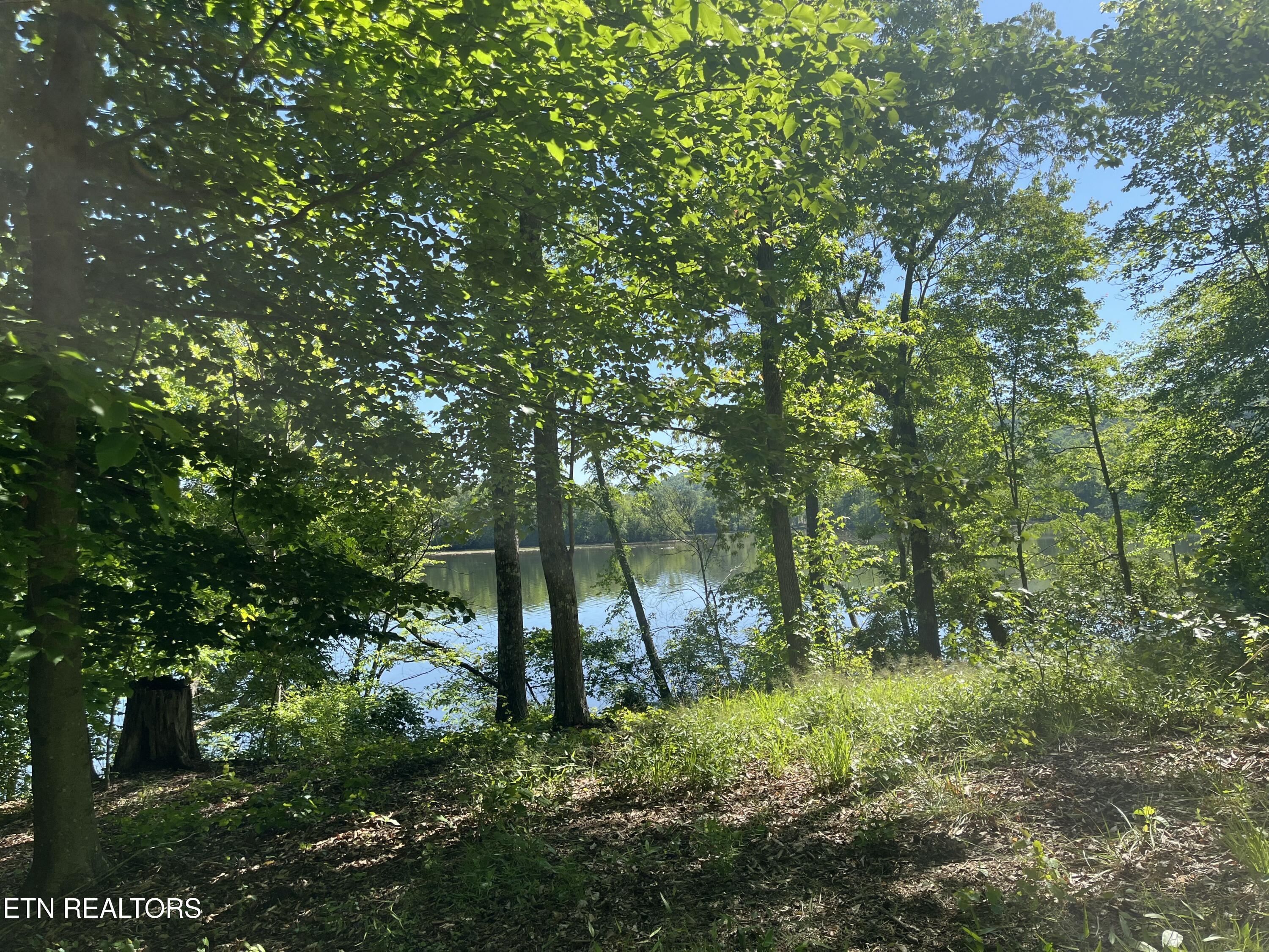 117 Osprey Way Harriman TN 37748