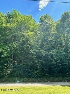 Lakeview Drive Sevierville TN 37876