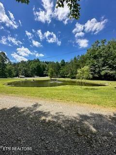 Lakeview Drive Sevierville TN 37876