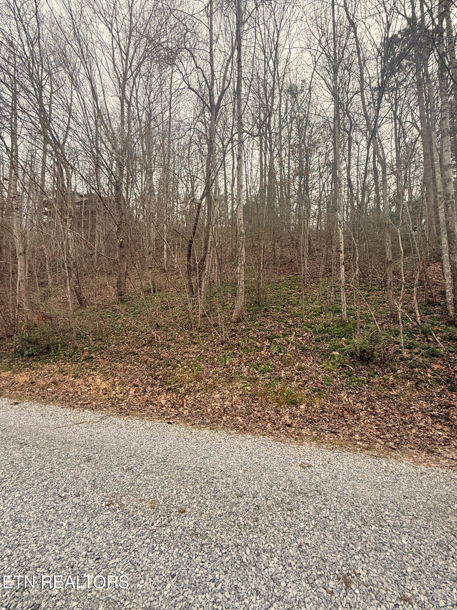Lakeview Drive Sevierville TN 37876