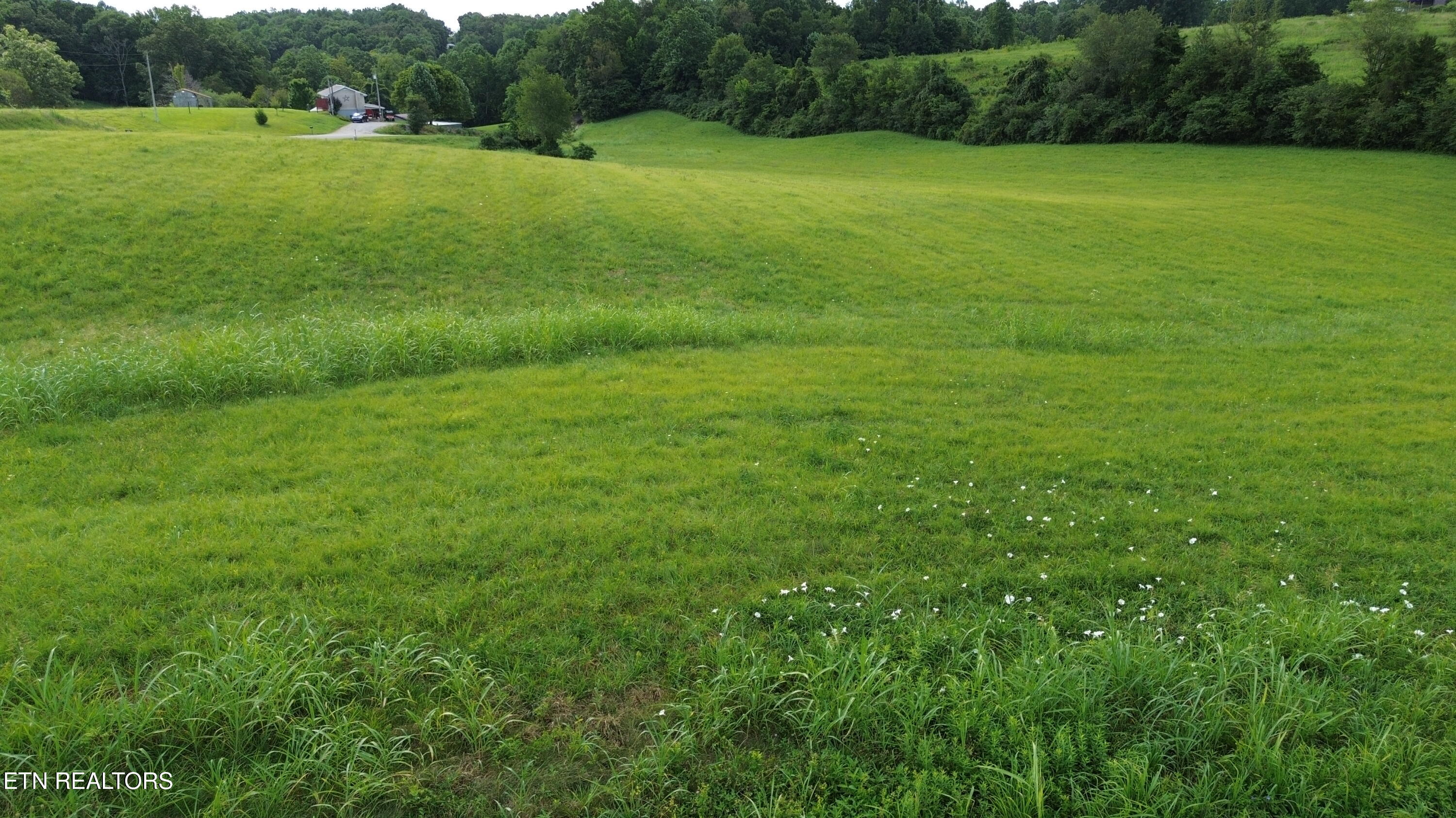 8.5 Acres Flowers Road Monroe TN 38573