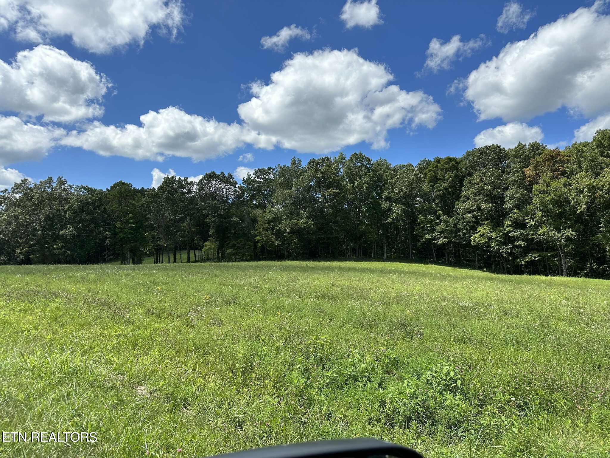Smith Mountain Road Rockwood TN 37854