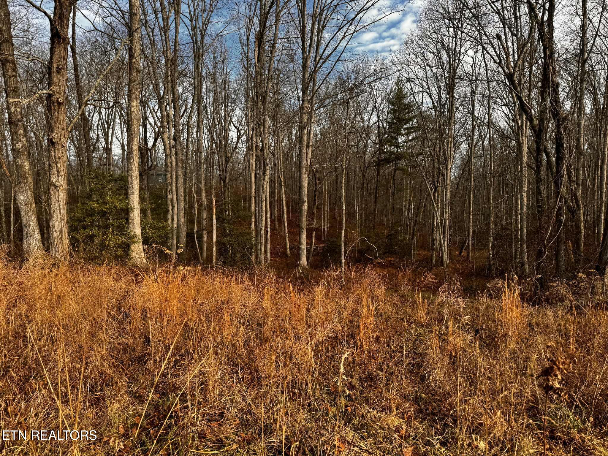 Smith Mountain Road Rockwood TN 37854