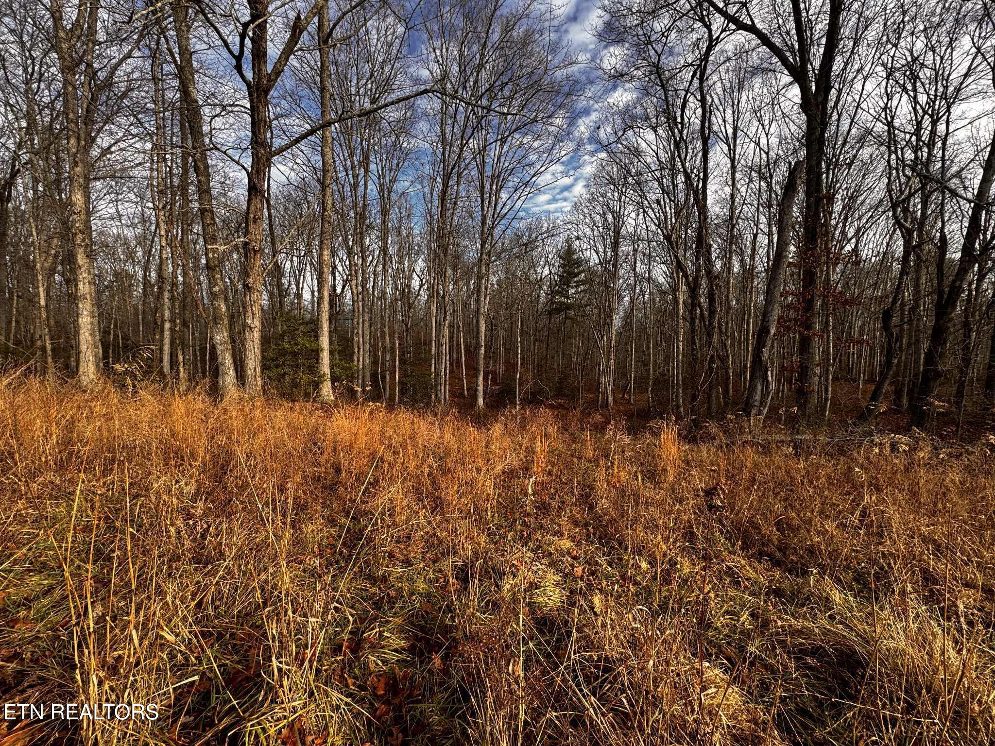 Smith Mountain Road Rockwood TN 37854