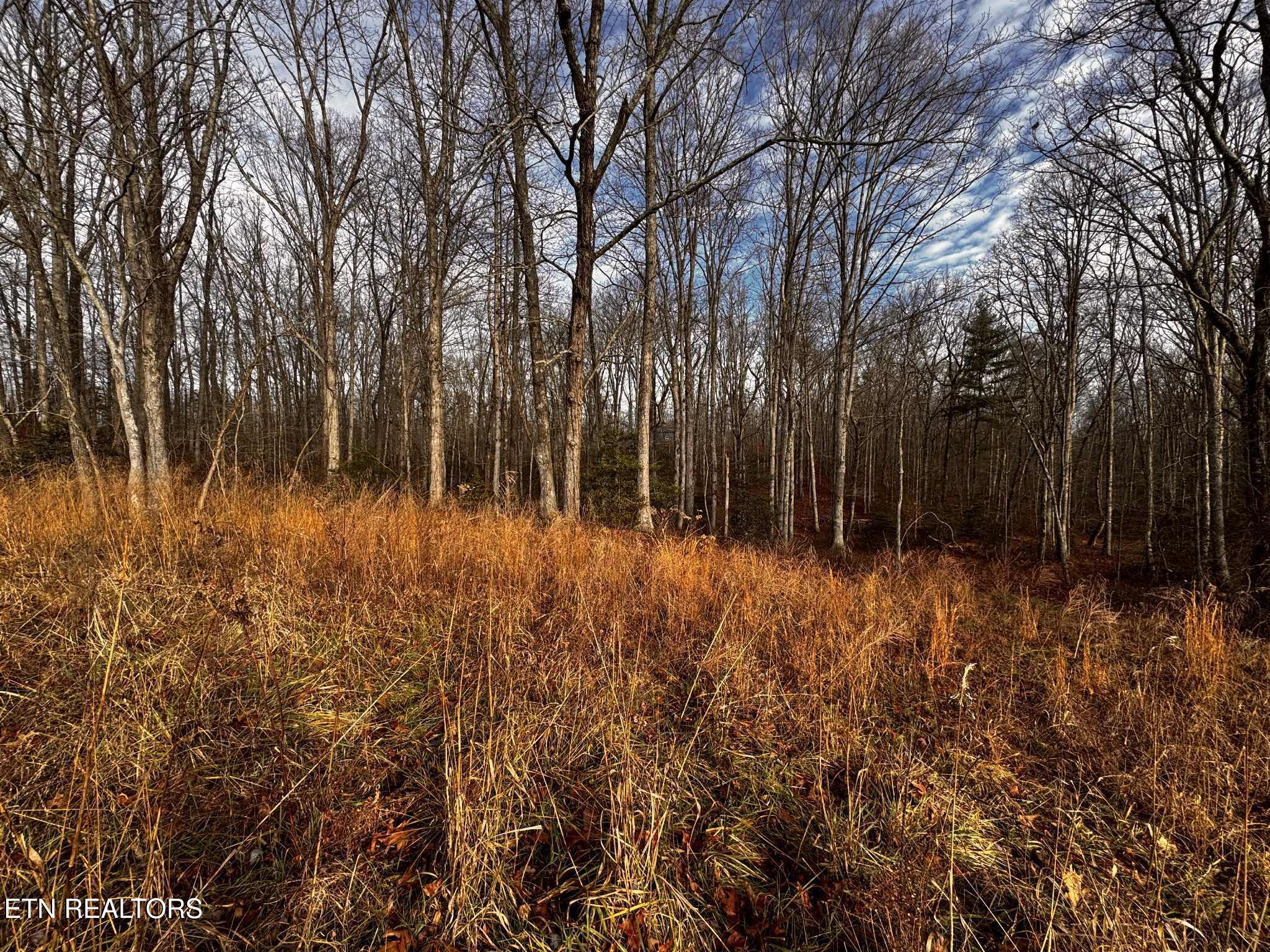 Smith Mountain Road Rockwood TN 37854
