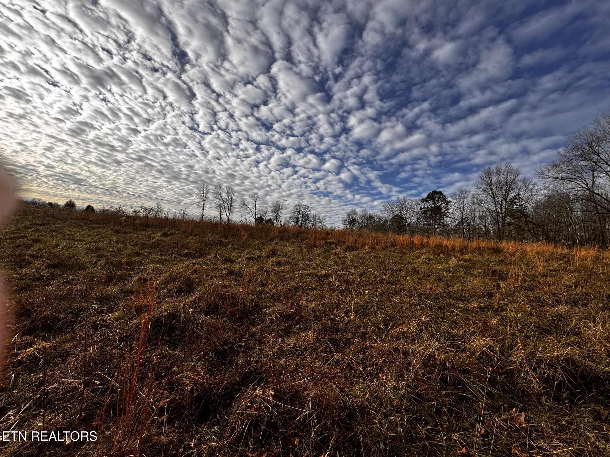 Smith Mountain Road Rockwood TN 37854
