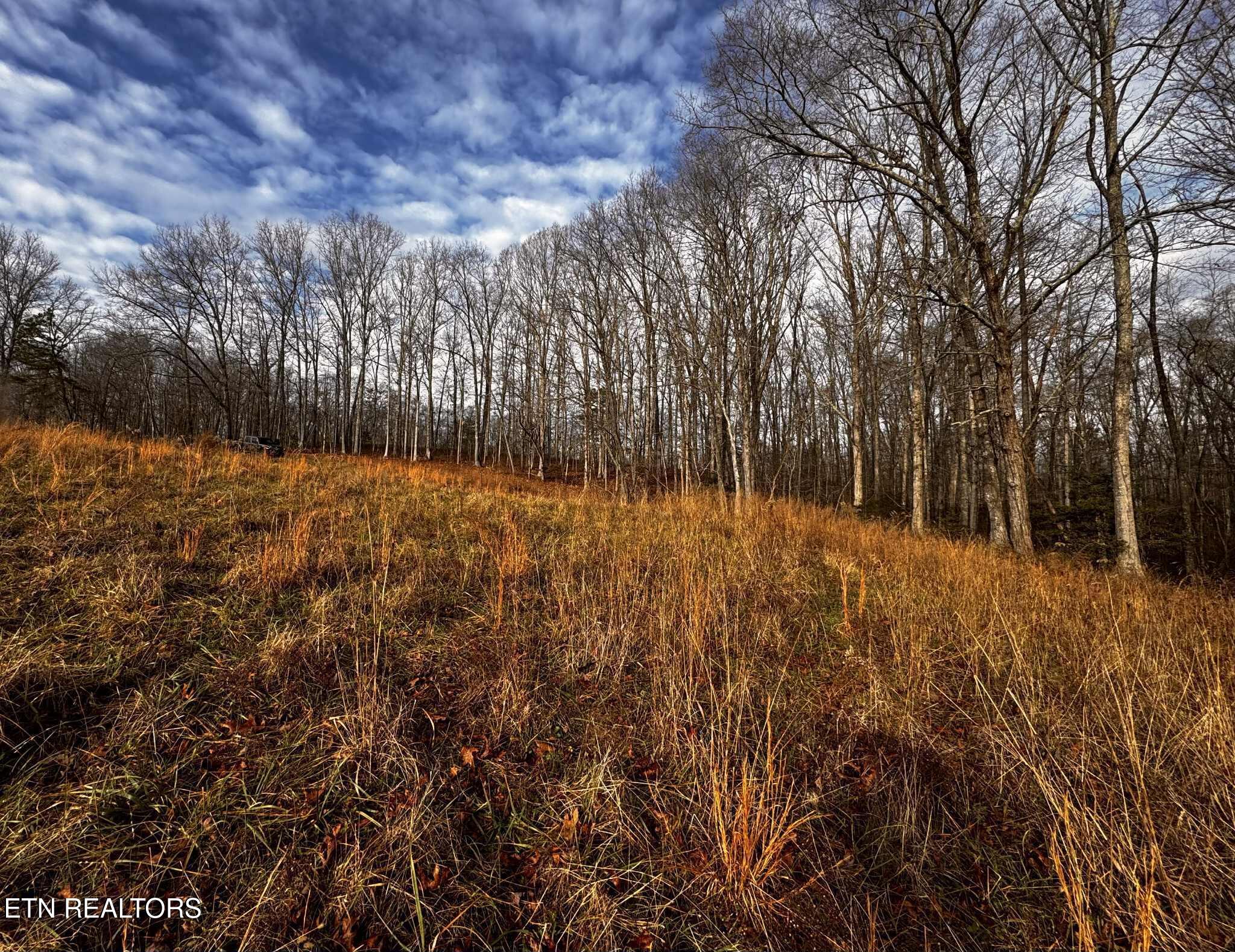 Smith Mountain Road Rockwood TN 37854