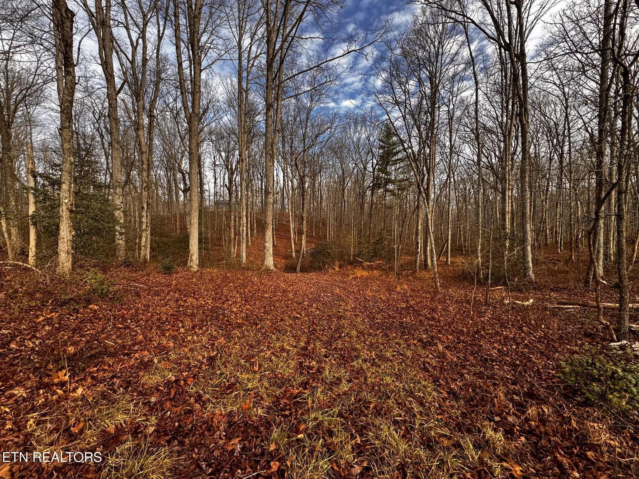 Smith Mountain Road Rockwood TN 37854