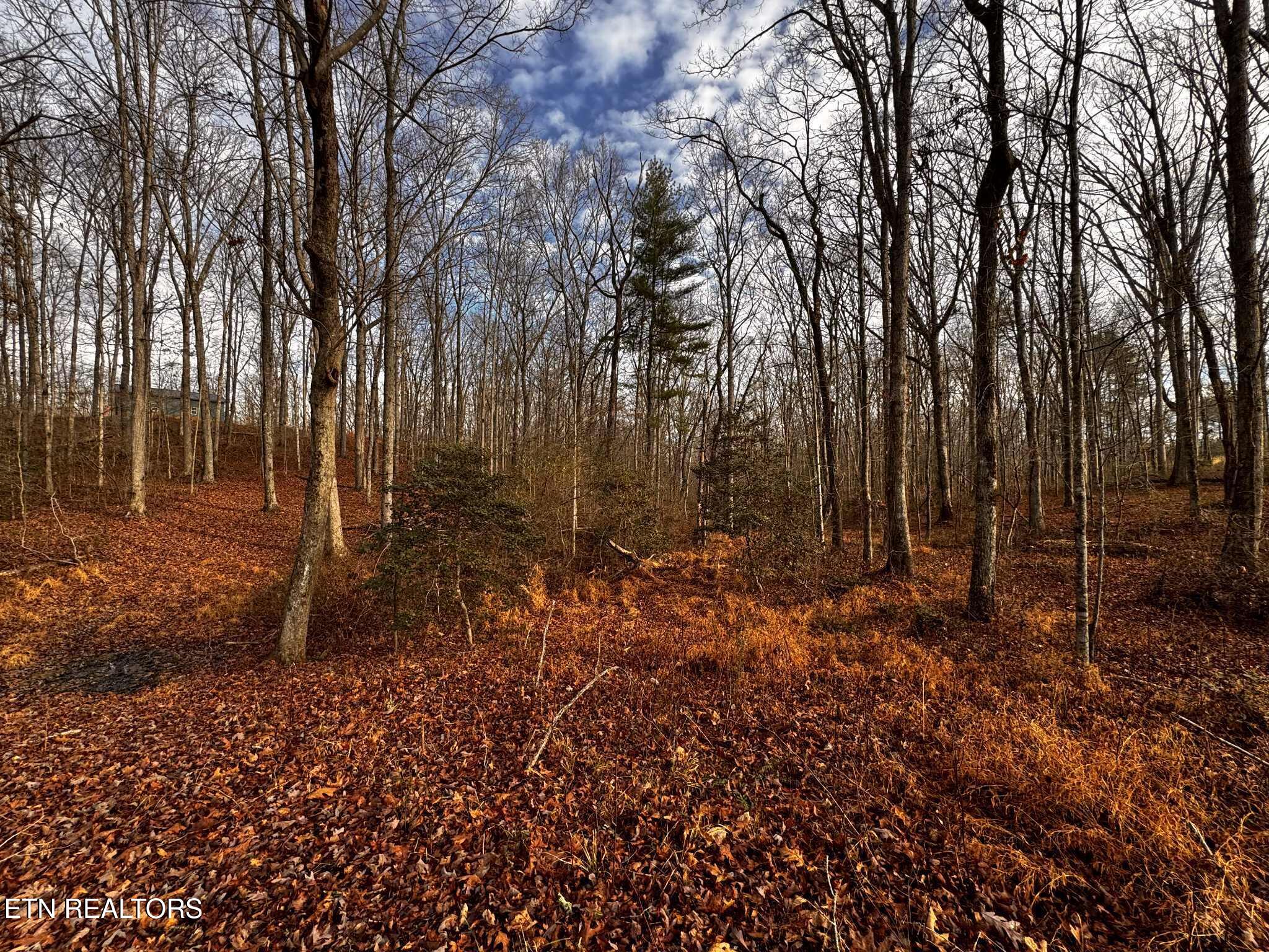 Smith Mountain Road Rockwood TN 37854