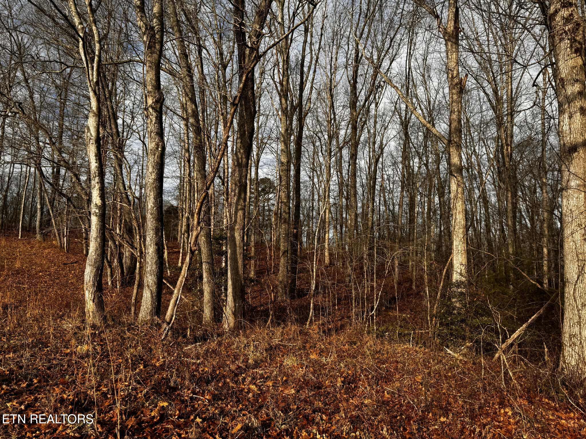 Smith Mountain Road Rockwood TN 37854