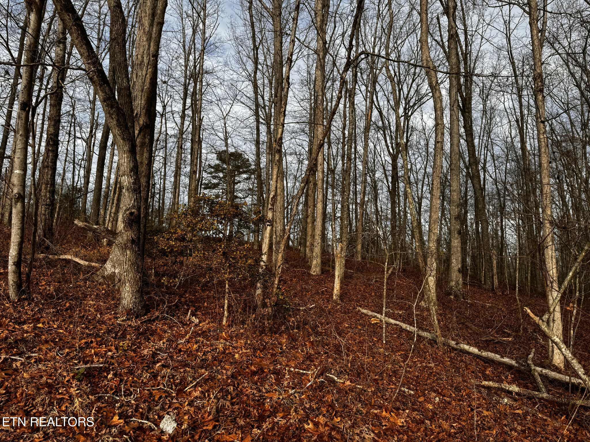 Smith Mountain Road Rockwood TN 37854