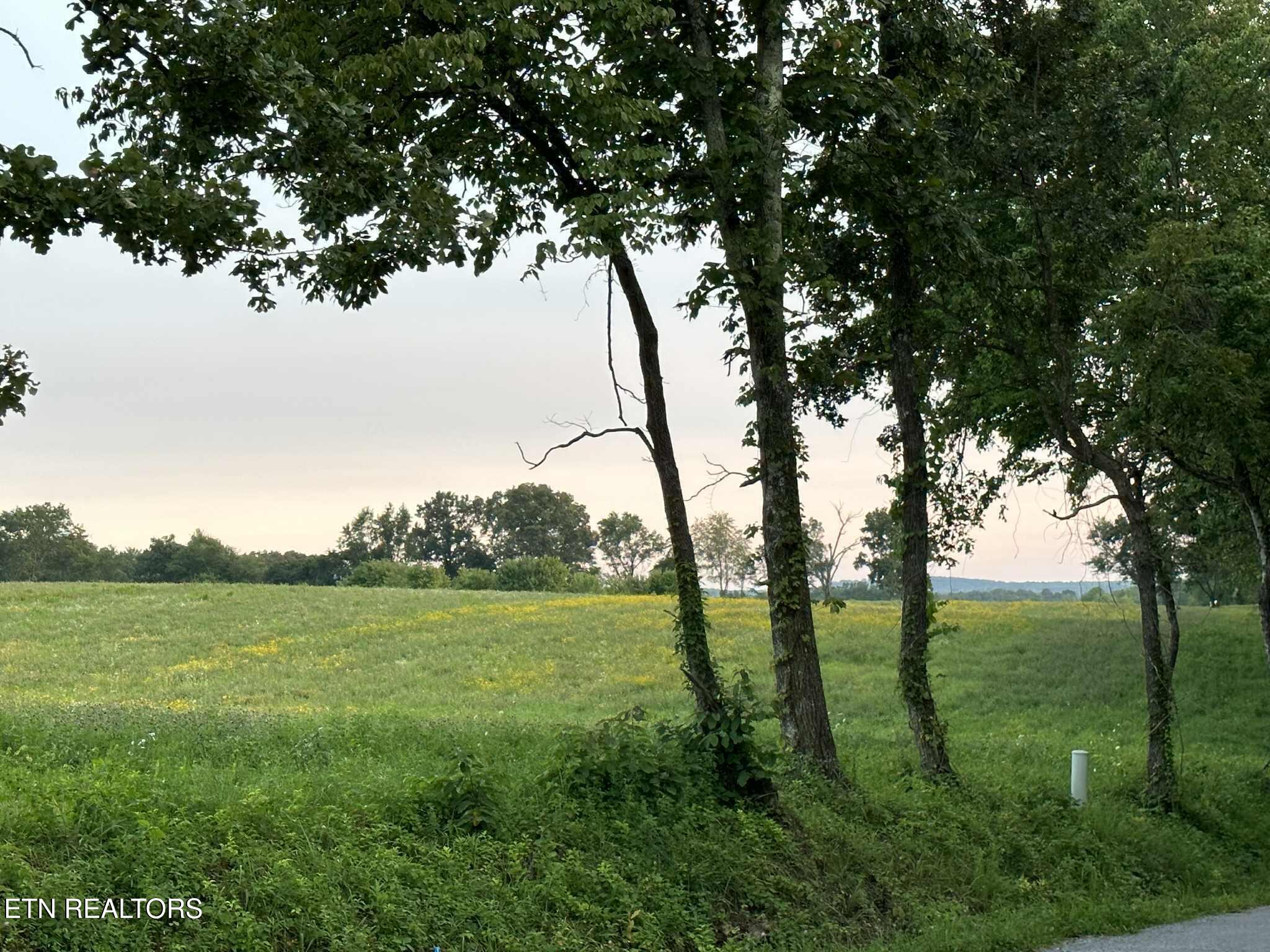 Smith Mountain Road Rockwood TN 37854