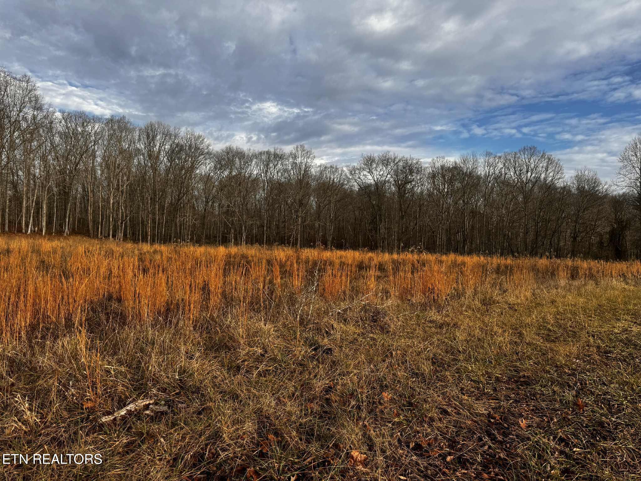 Smith Mountain Road Rockwood TN 37854