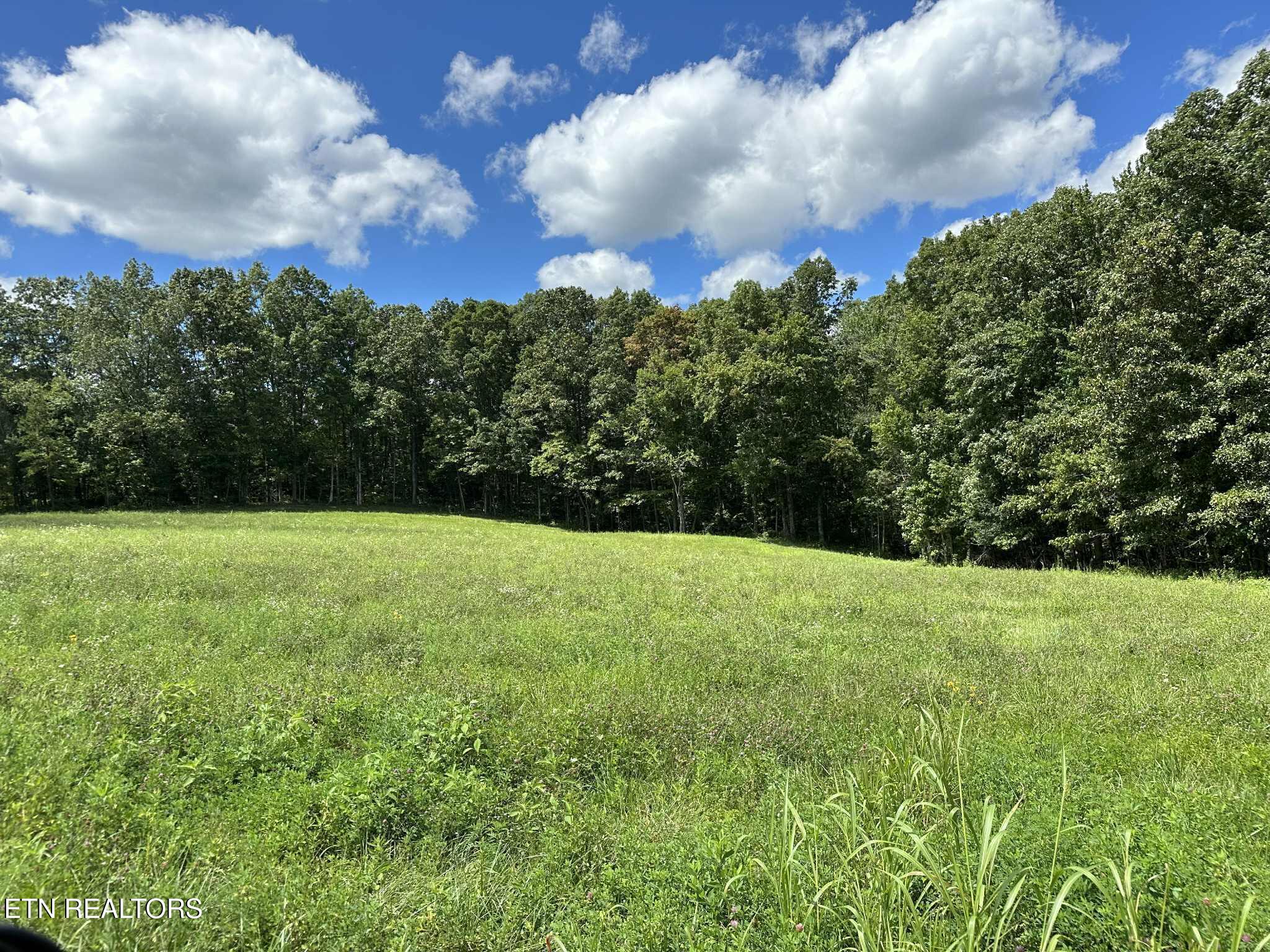Smith Mountain Road Rockwood TN 37854