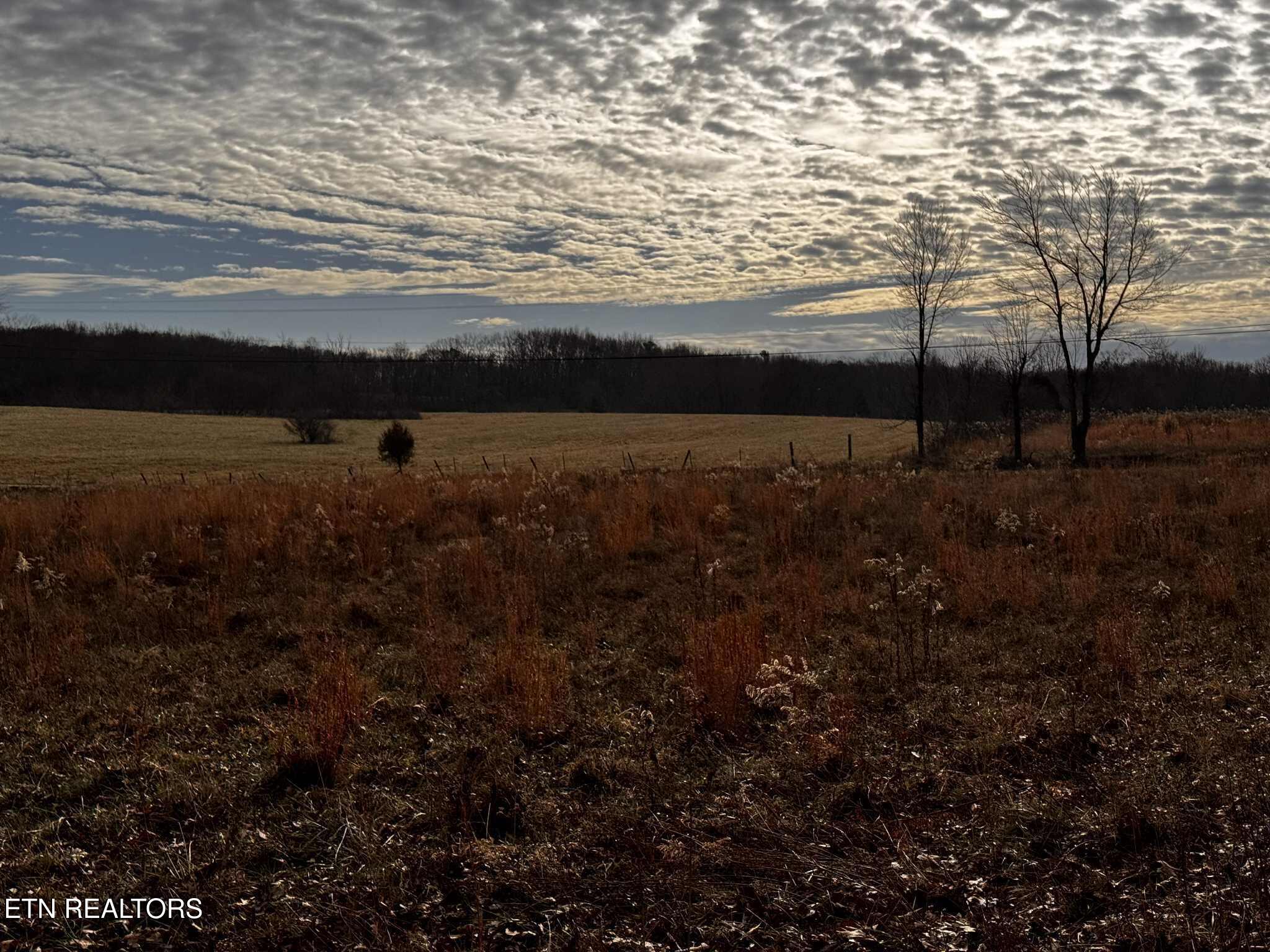 Smith Mountain Road Rockwood TN 37854