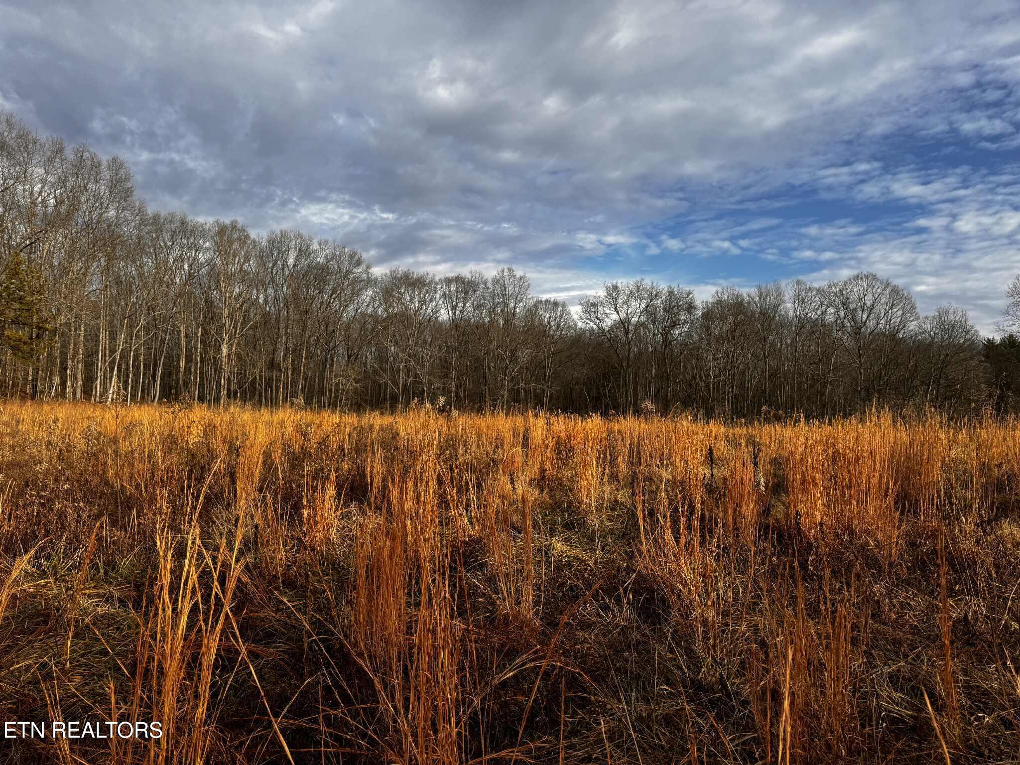 Smith Mountain Road Rockwood TN 37854