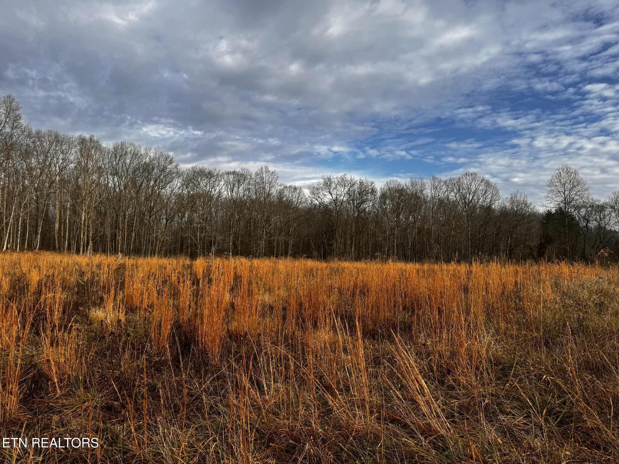 Smith Mountain Road Rockwood TN 37854