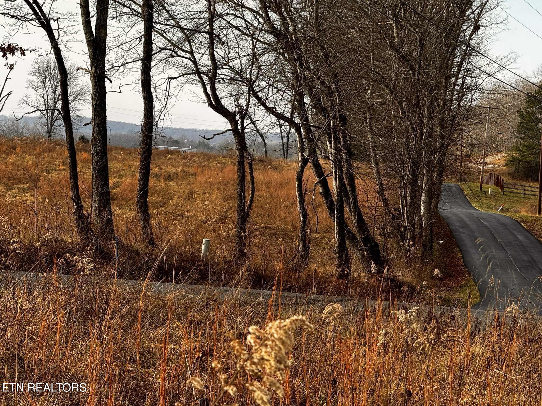 Smith Mountain Road Rockwood TN 37854