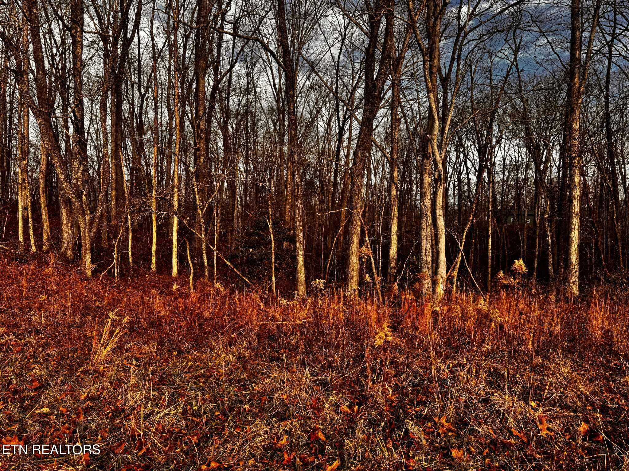 Smith Mountain Road Rockwood TN 37854