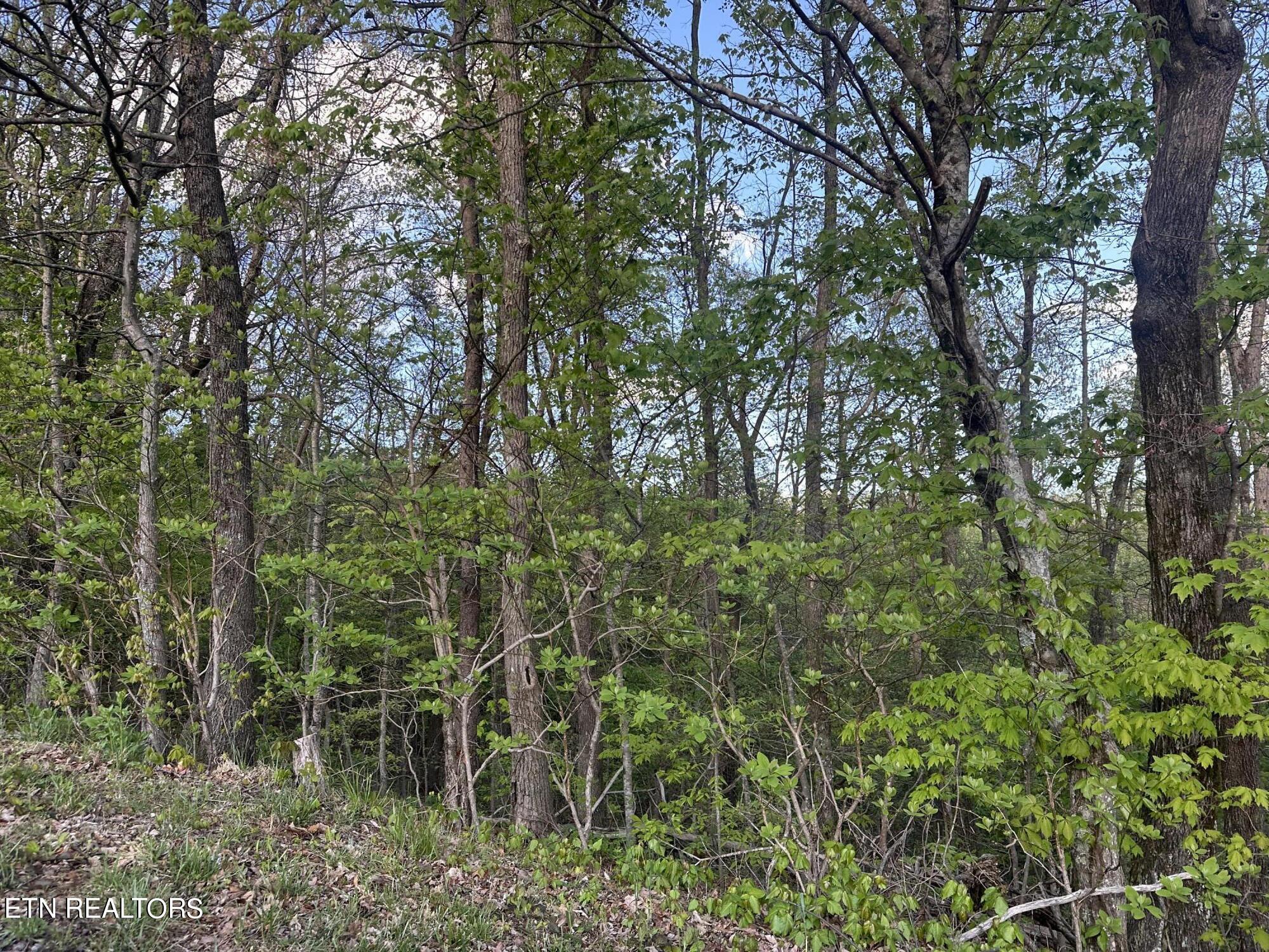 Hickory Trail Crab Orchard TN 37723