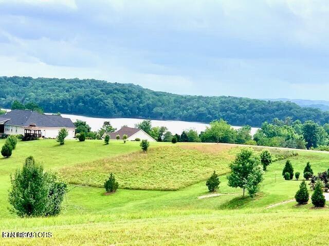 213 Majestic View Drive Rockwood TN 37854