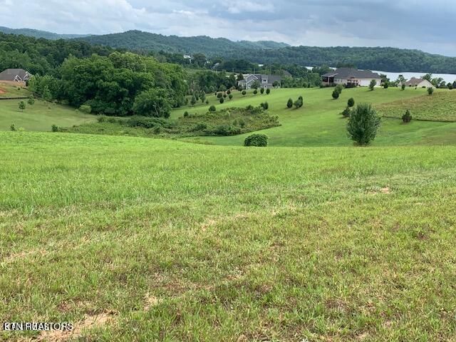 213 Majestic View Drive Rockwood TN 37854