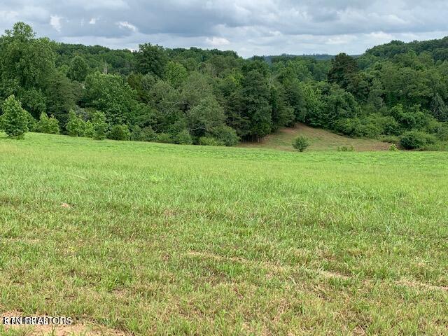 213 Majestic View Drive Rockwood TN 37854